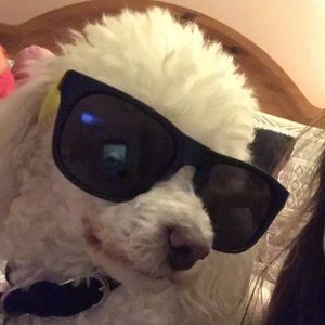 Meet your Posher, Judith